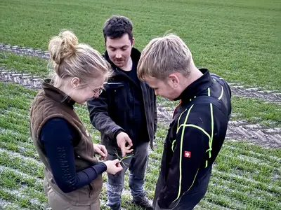 Überprüfung des Bestandes