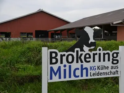 Hofschild Brokering