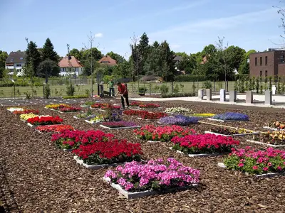 Mustergr&auml;ber mit verschiedener Bepflanzung