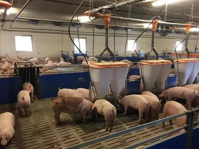 Umbau Stall Ochtmannien 1