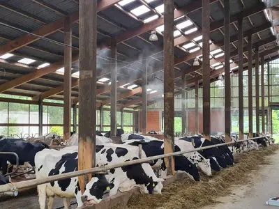 kalte Dusche bei warmen Temperaturen