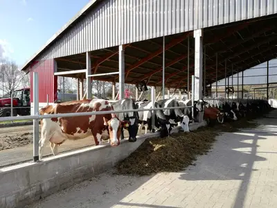 Biohof Mojenhop GbR - Hermann und Henning Borchers