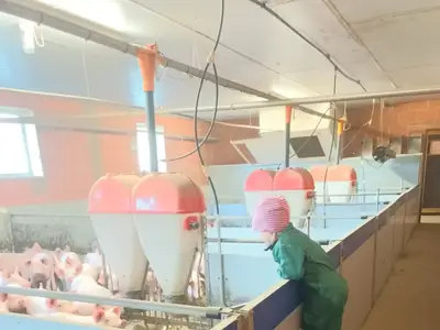 Schweine sind unsere Leidenschaft