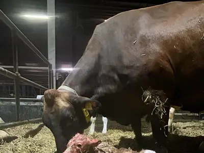 Kehlbecks Landwirtschaft GbR