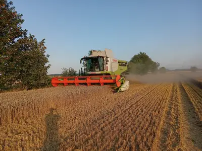 Johannes W&uuml;stemann