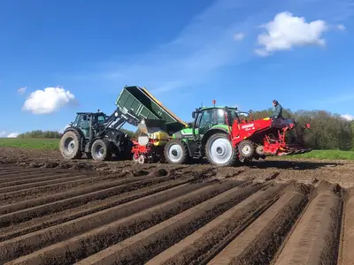 Kartoffelpflanzen mit dem Lohnunternehmer