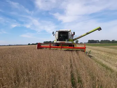 Claas Mega 350 bei der Arbeit