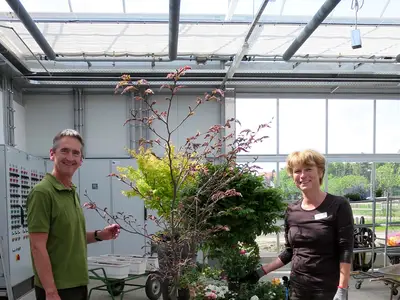 Auch gr&ouml;&szlig;ere Gef&auml;&szlig;e werden bepflanzt