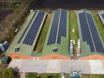 H&auml;hnchenst&auml;lle betreuen