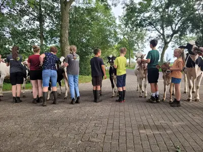 Rinderzucht Ha&szlig;bargen GbR