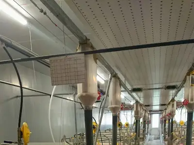 Tierkontrolle im Abferkelabteil