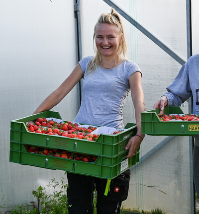 Gärtner*in Obstbau Ebene 2