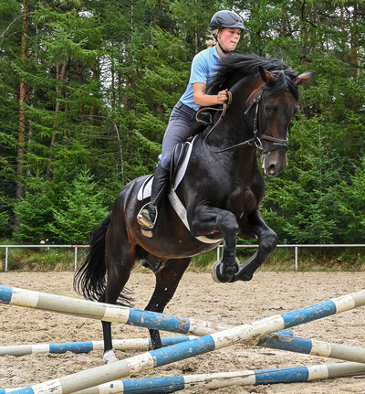 Springen