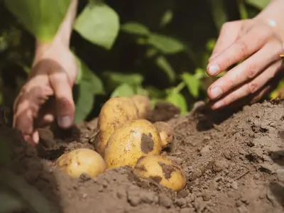 Mit Liebe zum Ackerbau