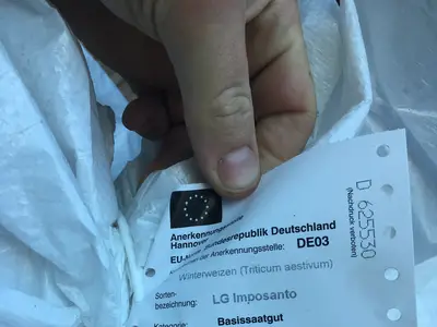 Getreidebasisaussaat