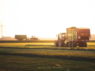 Ernte auf dem Betrieb