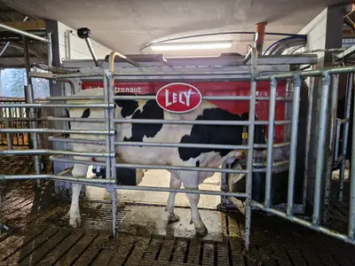 Lely A5