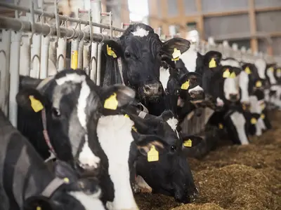 Christoph Pr&uuml;ser