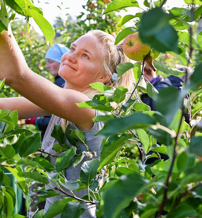 Ausbildung Obstbau