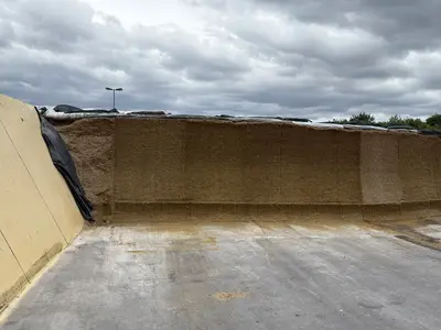 Maissilo f&uuml;r die K&uuml;he