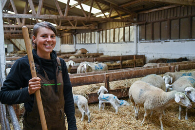 Tierwirt*in Schafhaltung