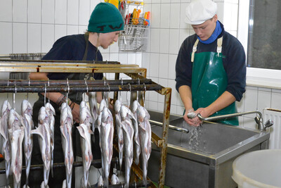 Fische zum Räuchern vorbereiten