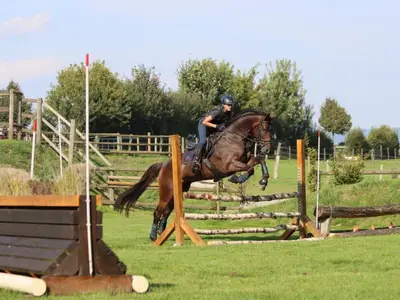 Spring-/ Gel&auml;ndeplatz