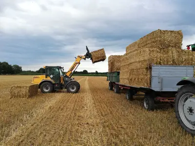 Biohof Mojenhop GbR - Hermann und Henning Borchers