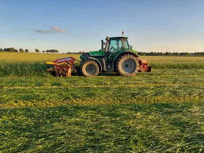 Azubi beim Gras m&auml;hen 