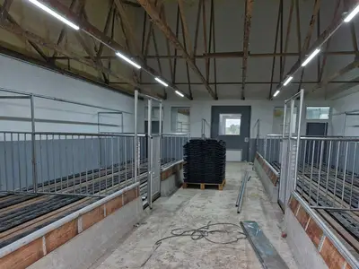 Umbau zum neuen K&auml;lberstall