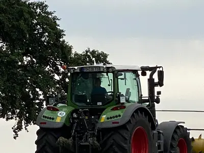 Bildtitel angeben