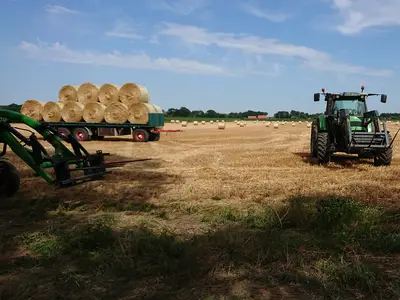 Rundballenernte