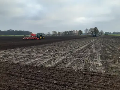 Drillen - Arbeit Hand in Hand