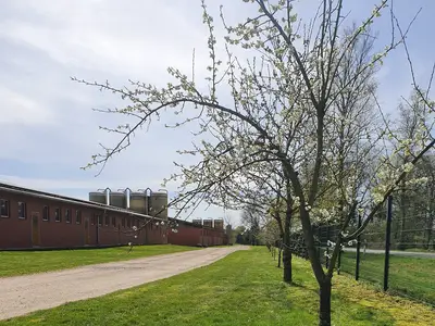 Ansicht Mastst&auml;lle