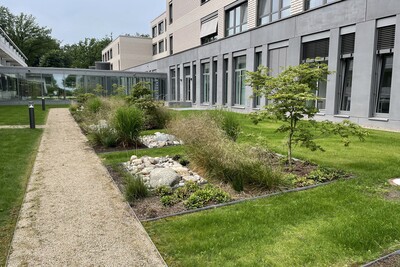 Aktivitäten im Galabau