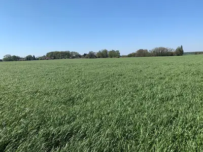 Gr&uuml;nlandbewirtschaftung