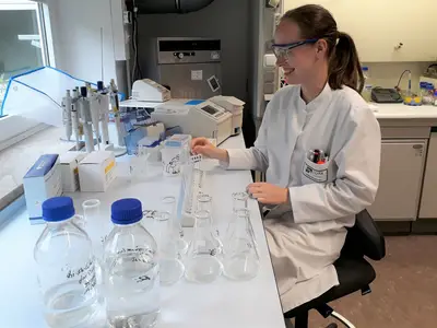 Enzymatische Untersuchungen