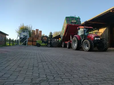 Kartoffeleinlagerung