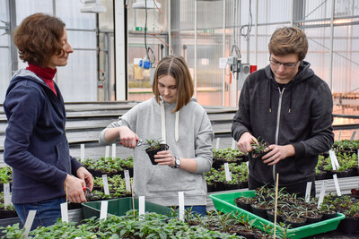 Ausbildung im Zierpflanzenbau