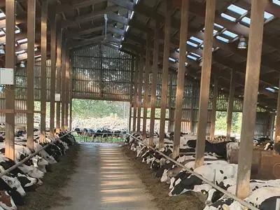 der beste Arbeitsplatz