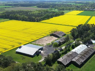 Stallungen und Getreidelager im Au&szlig;nebereich