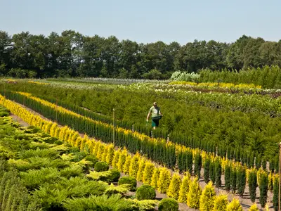 Ordnung muss sein! :-)