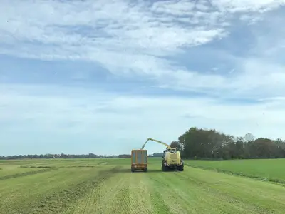 Gras häckseln