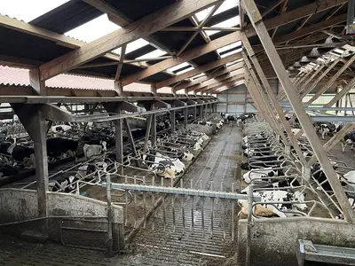 ein Blick in unseren Boxenlaufstall