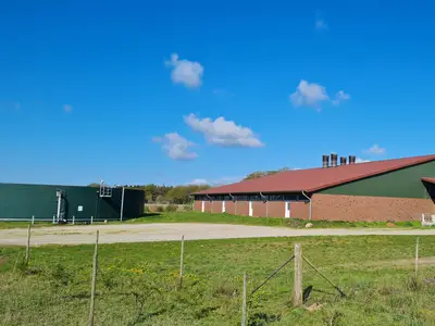 Außenstall