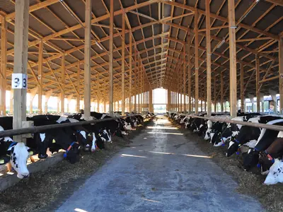 Unser Futtertisch - mitlerweile auch mit nem Alltagshelfer 