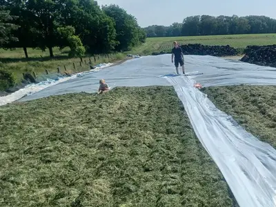 Silo abdecken geh&ouml;rt auch dazu ;-)