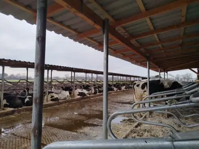 Liegeboxen drau&szlig;en