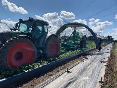 Verschiedene Sonderkulturen