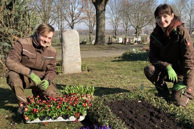 Aktivitäten im Friedhofsgartenbau